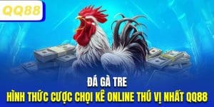 Đá Gà Tre | Hình Thức Cược Chọi Kê Online Thú Vị Nhất QQ88