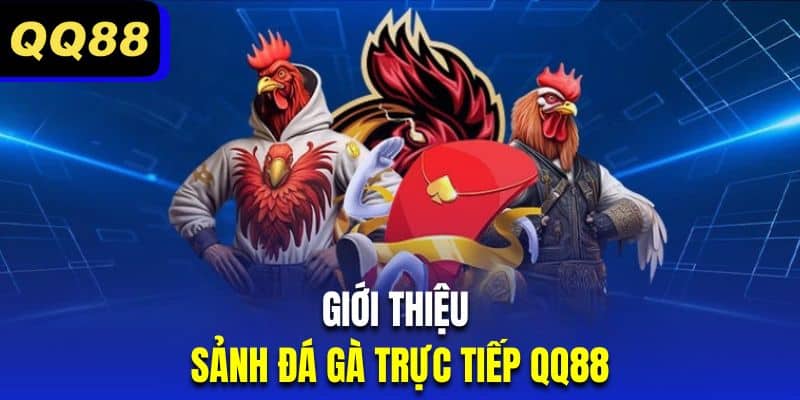 Tổng quan đôi nét về sảnh chơi đá gà trực tuyến QQ88