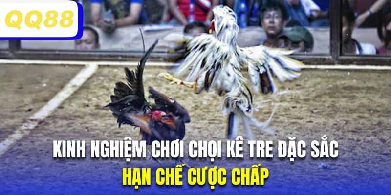 Hội viên chơi đá gà tre nên hạn chế cược chấp