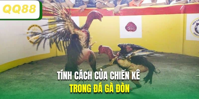 Tính cách của chiến kê trong đá gà đòn