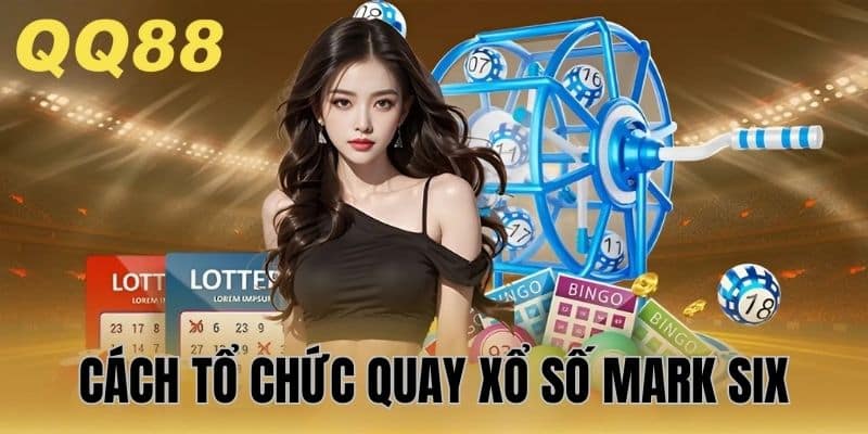 Thông tin tổ chức kỳ quay chi tiết, đầy đủ cho newbie